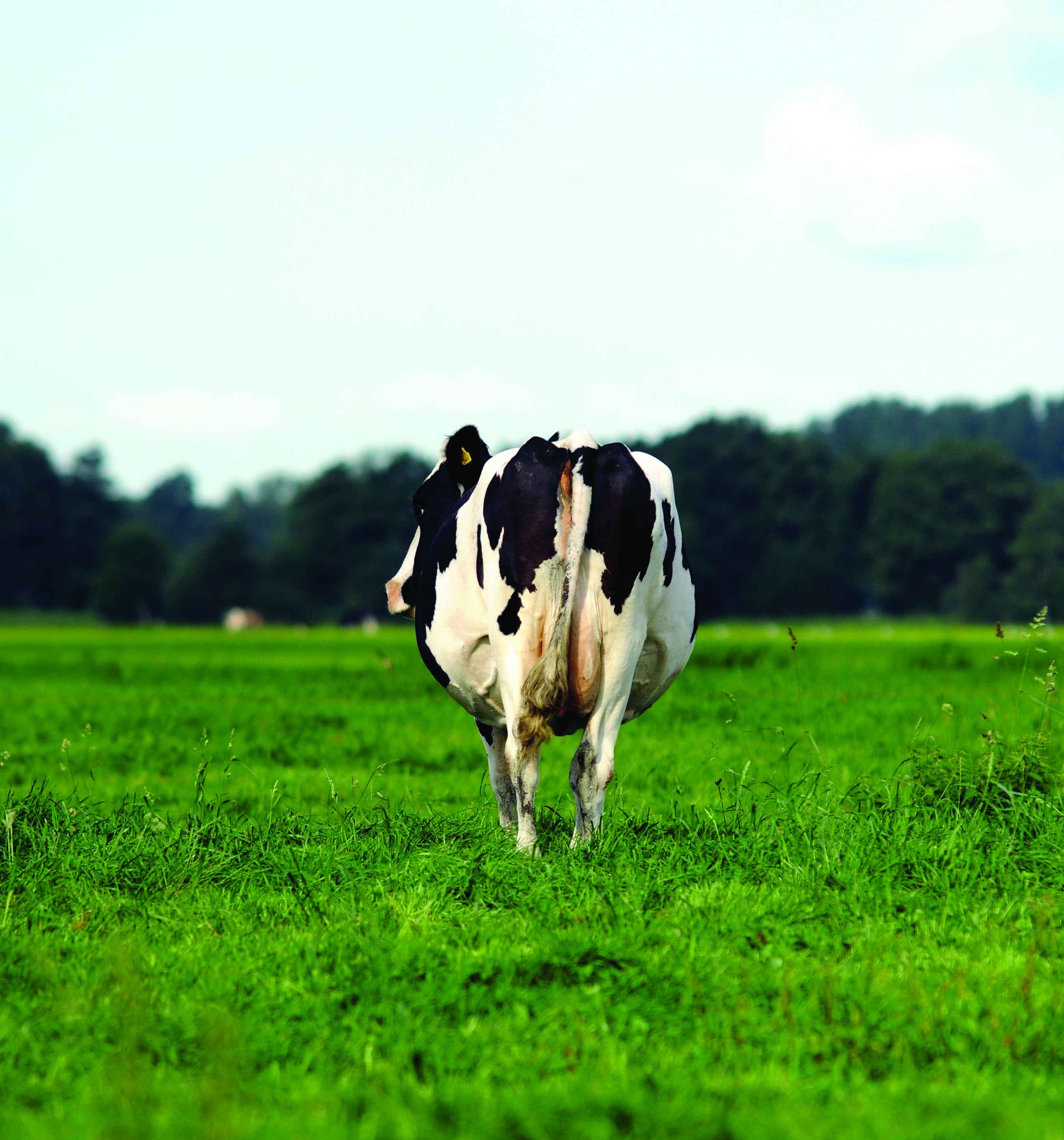 www.farmershotline.com